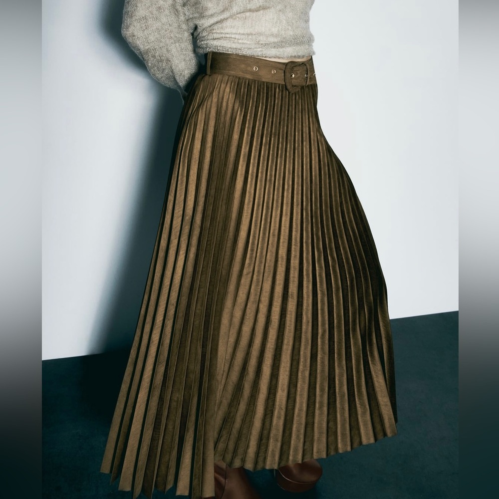 Zara Pleated Midi Skirt - Picture 2 of 9
